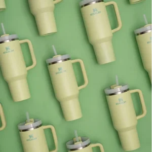 Stanley Tumbler (Huge Offer)